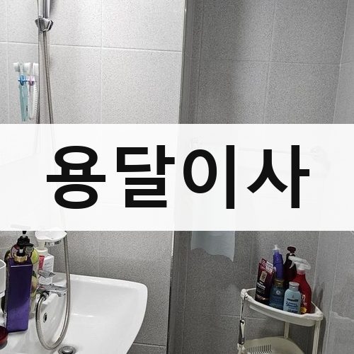 남구 용달이사 포장이사