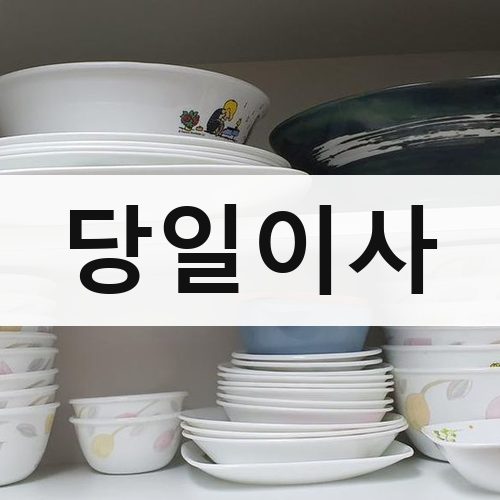 동구 당일이사 원룸이사